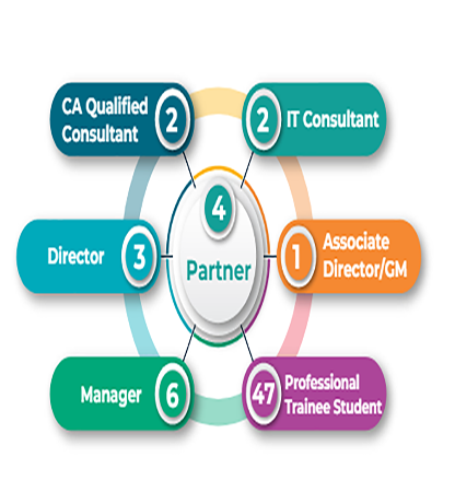 Company Overview